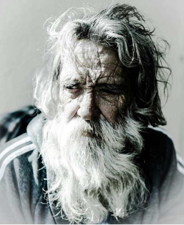 Οδηγός Harenavi